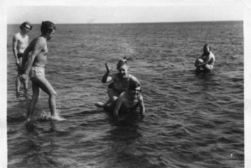 43 (1)